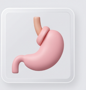 Fundoplicatura