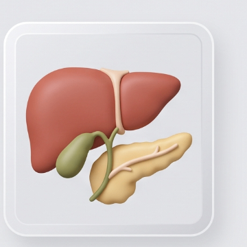 Hepatobiliopancreática