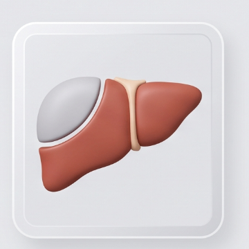 Hepatectomia